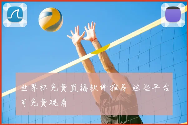 世界杯免费直播软件推荐 这些平台可免费观看