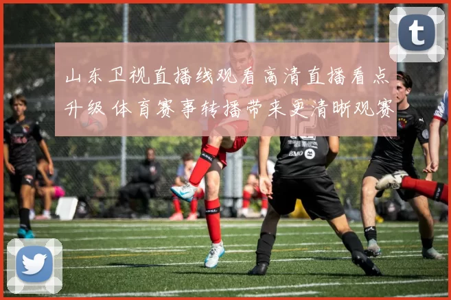 山东卫视直播线观看高清直播看点升级 体育赛事转播带来更清晰观赛体验