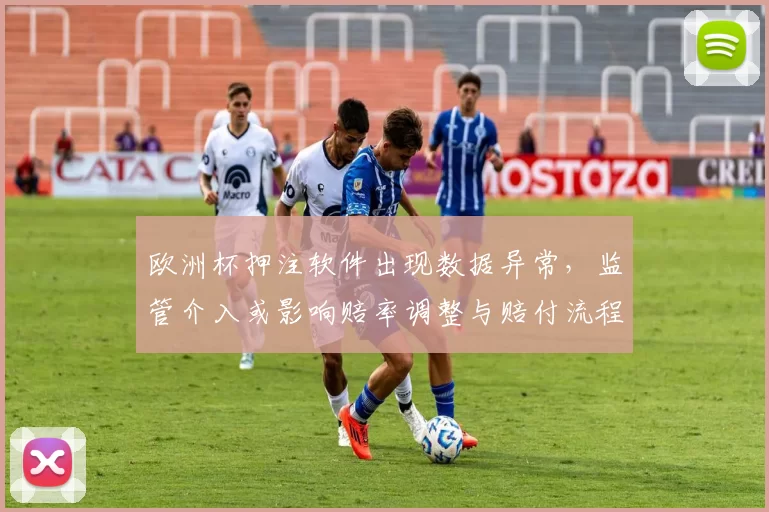 欧洲杯押注软件出现数据异常，监管介入或影响赔率调整与赔付流程