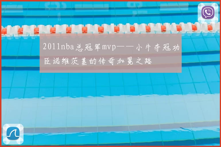 2011nba总冠军mvp——小牛夺冠功臣诺维茨基的传奇加冕之路