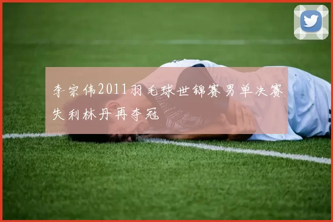 李宗伟2011羽毛球世锦赛男单决赛失利林丹再夺冠