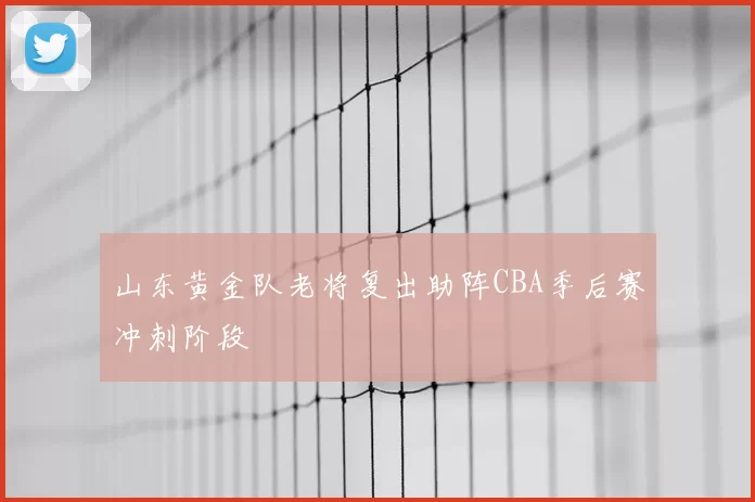 山东黄金队老将复出助阵CBA季后赛冲刺阶段