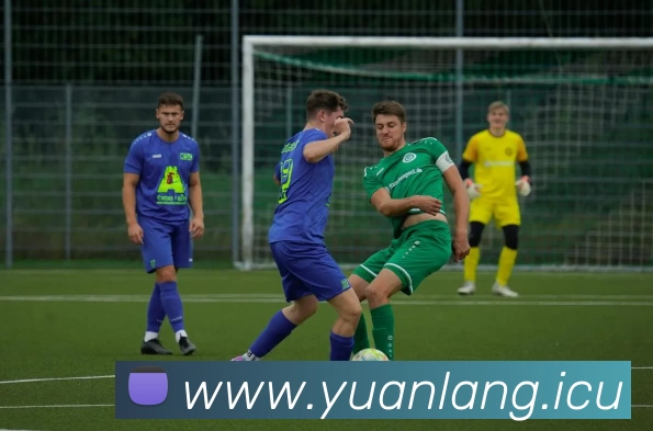 多媒体互动体验